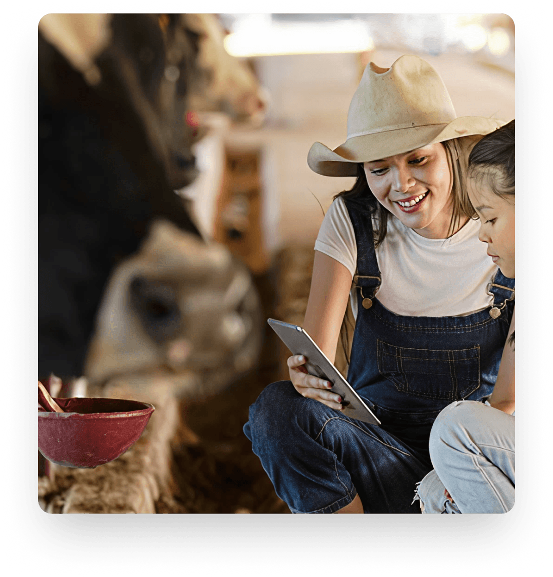 Our Farms - Commitment